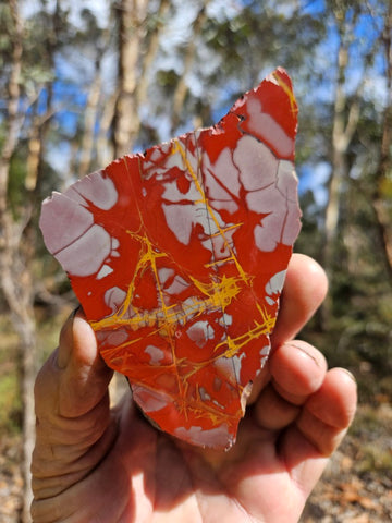 Polished Noreena Jasper slab. NJ499