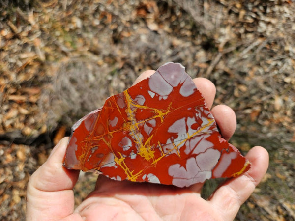Polished Noreena Jasper slab. NJ499