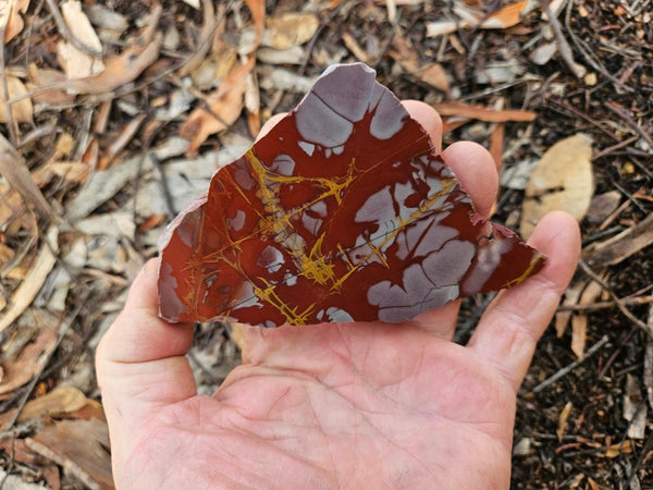 Polished Noreena Jasper slab. NJ499