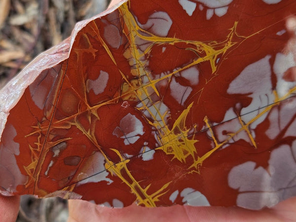 Polished Noreena Jasper slab. NJ499