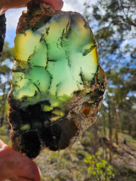 Polished  Chrysoprase slab  CH501