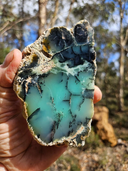 Polished  Chrysoprase slab  CH501