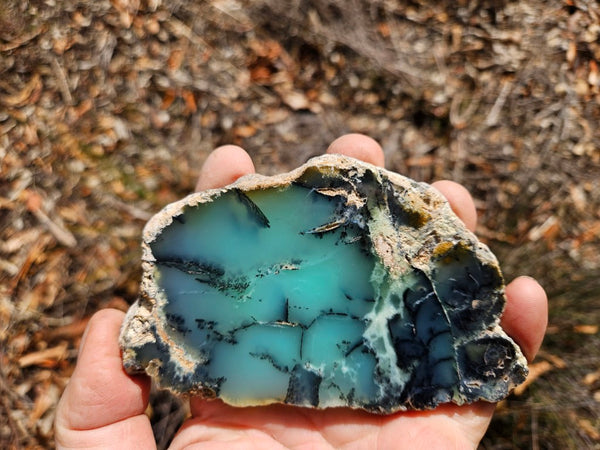 Polished  Chrysoprase slab  CH501