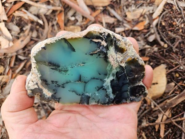 Polished  Chrysoprase slab  CH501