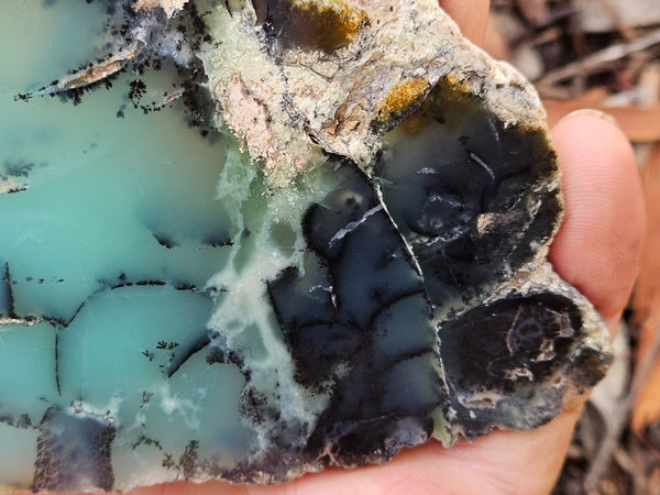Polished  Chrysoprase slab  CH501