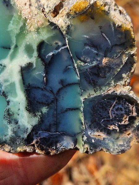 Polished  Chrysoprase slab  CH501