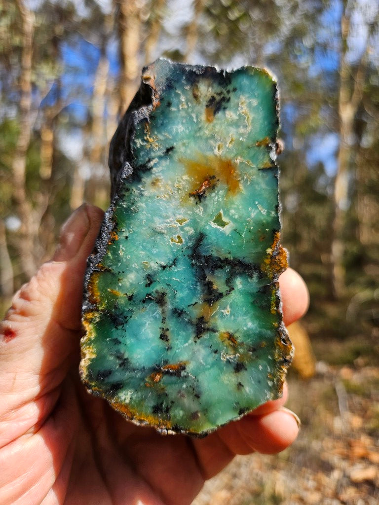 Polished  Chrysoprase  CH497
