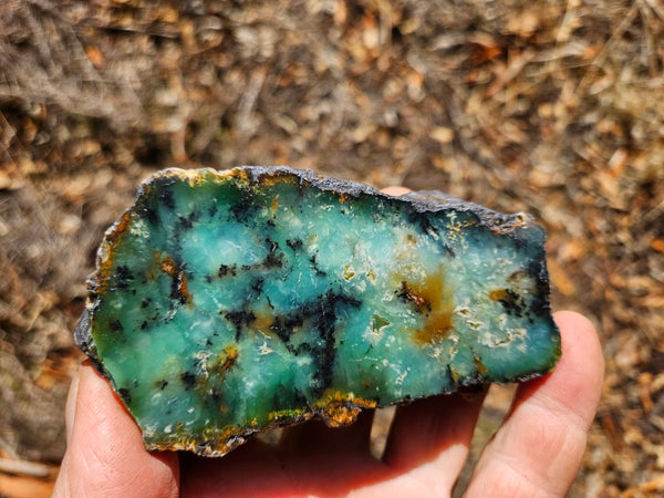 Polished  Chrysoprase  CH497