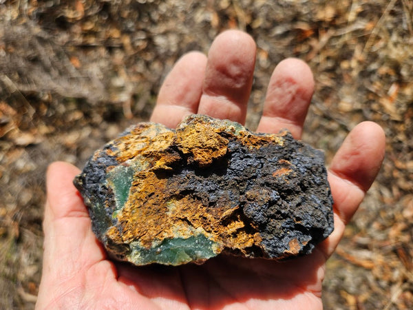 Polished  Chrysoprase  CH497