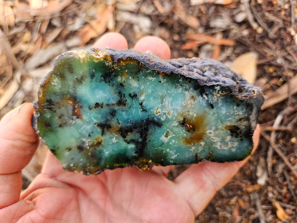 Polished  Chrysoprase  CH497
