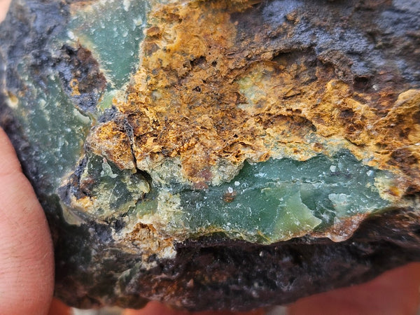 Polished  Chrysoprase  CH497