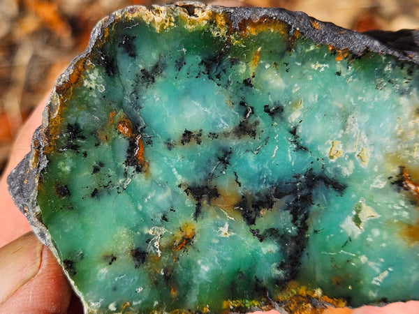 Polished  Chrysoprase  CH497