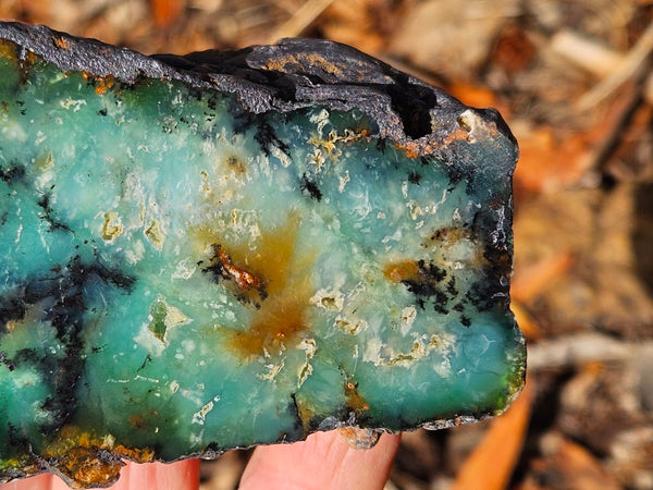Polished  Chrysoprase  CH497