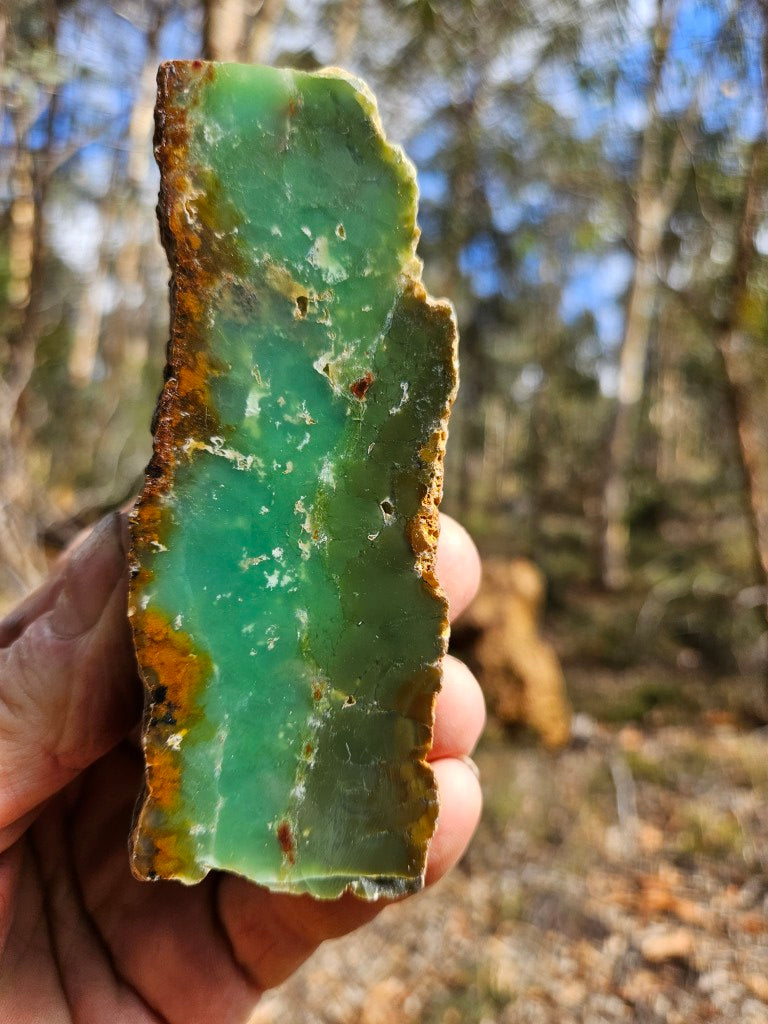 Polished  Chrysoprase  CH498