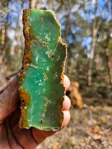 Polished  Chrysoprase  CH498
