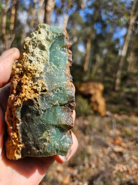 Polished  Chrysoprase  CH498