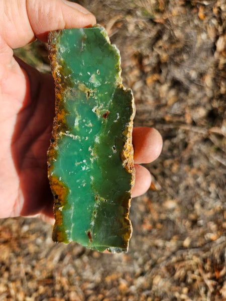 Polished  Chrysoprase  CH498