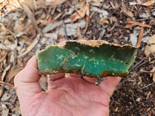 Polished  Chrysoprase  CH498