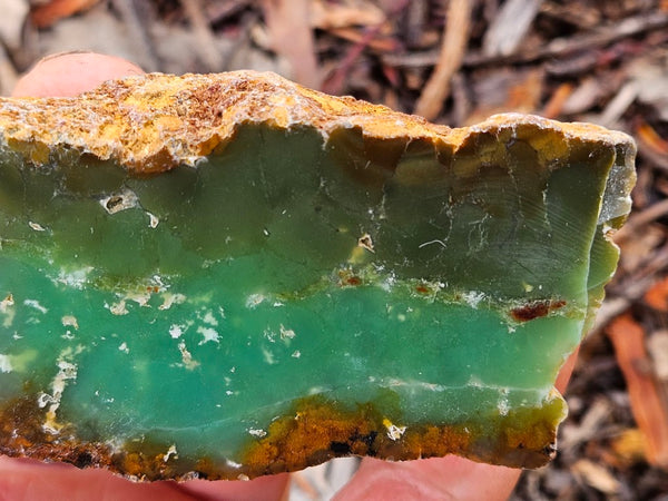 Polished  Chrysoprase  CH498