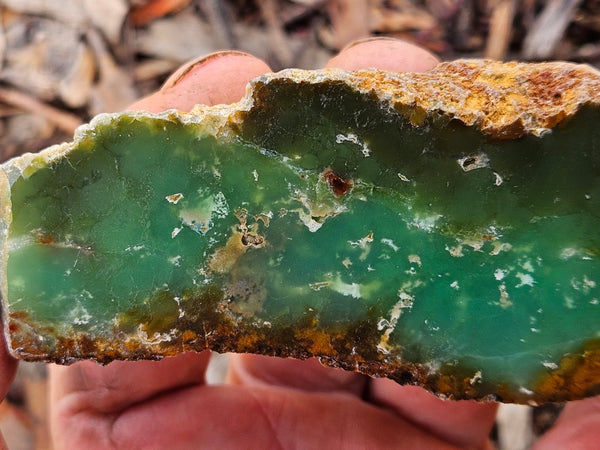 Polished  Chrysoprase  CH498