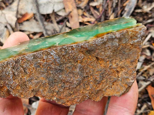 Polished  Chrysoprase  CH498