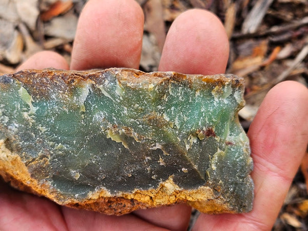 Polished  Chrysoprase  CH498