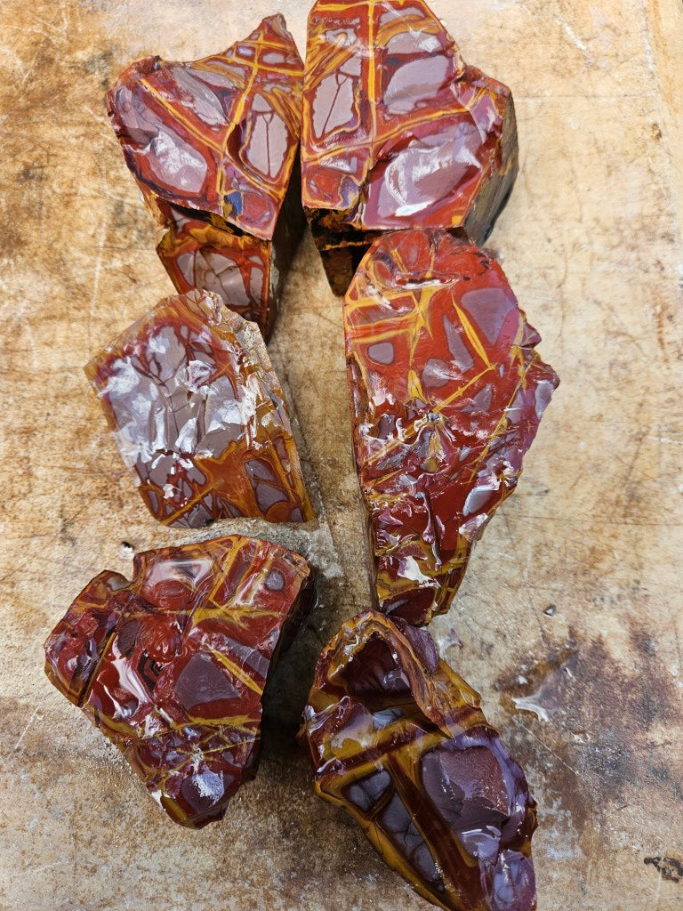 Noreena Jasper rough NJR194