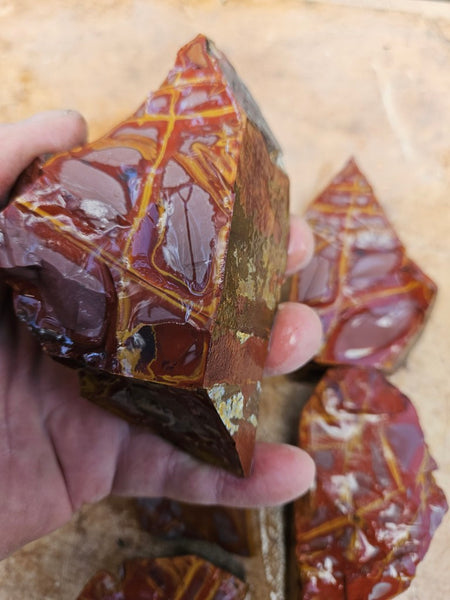 Noreena Jasper rough NJR194