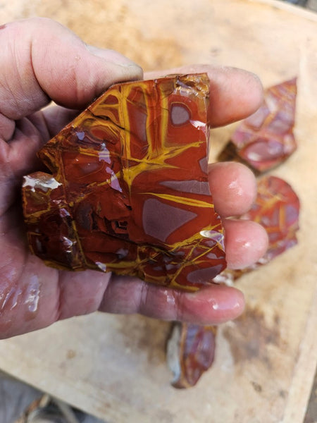 Noreena Jasper rough NJR194