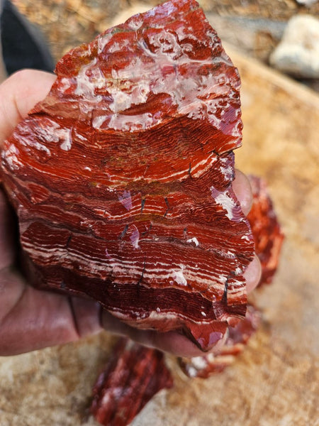 Snakeskin Jasper rough.  SSR 175
