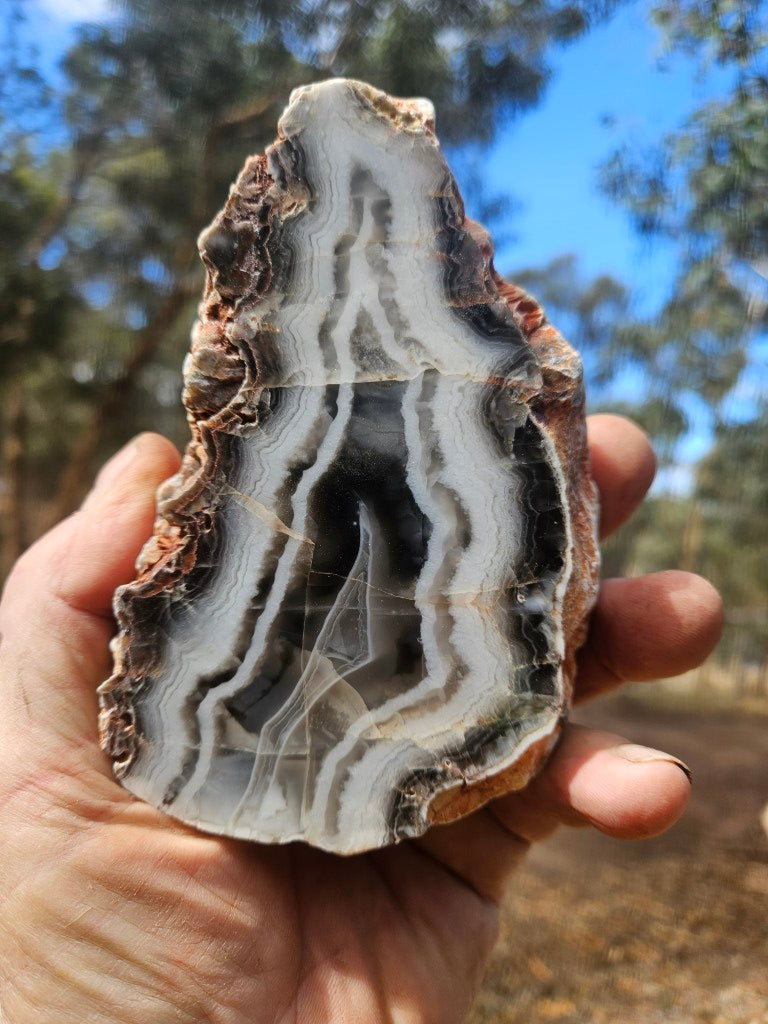 Polished Pilbara Agate PA290