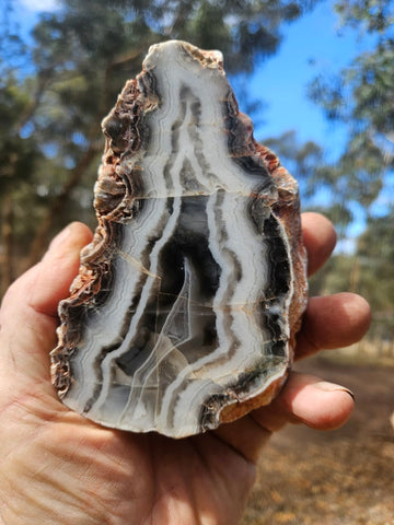 Polished Pilbara Agate PA290