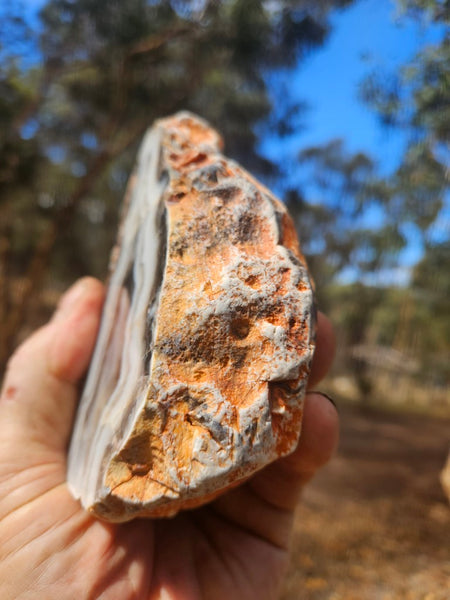 Polished Pilbara Agate PA290