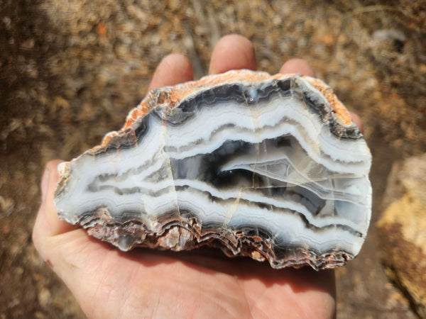 Polished Pilbara Agate PA290