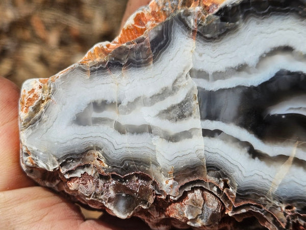 Polished Pilbara Agate PA290