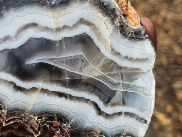 Polished Pilbara Agate PA290