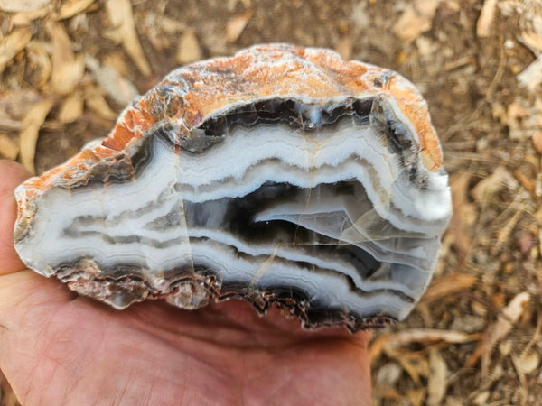 Polished Pilbara Agate PA290