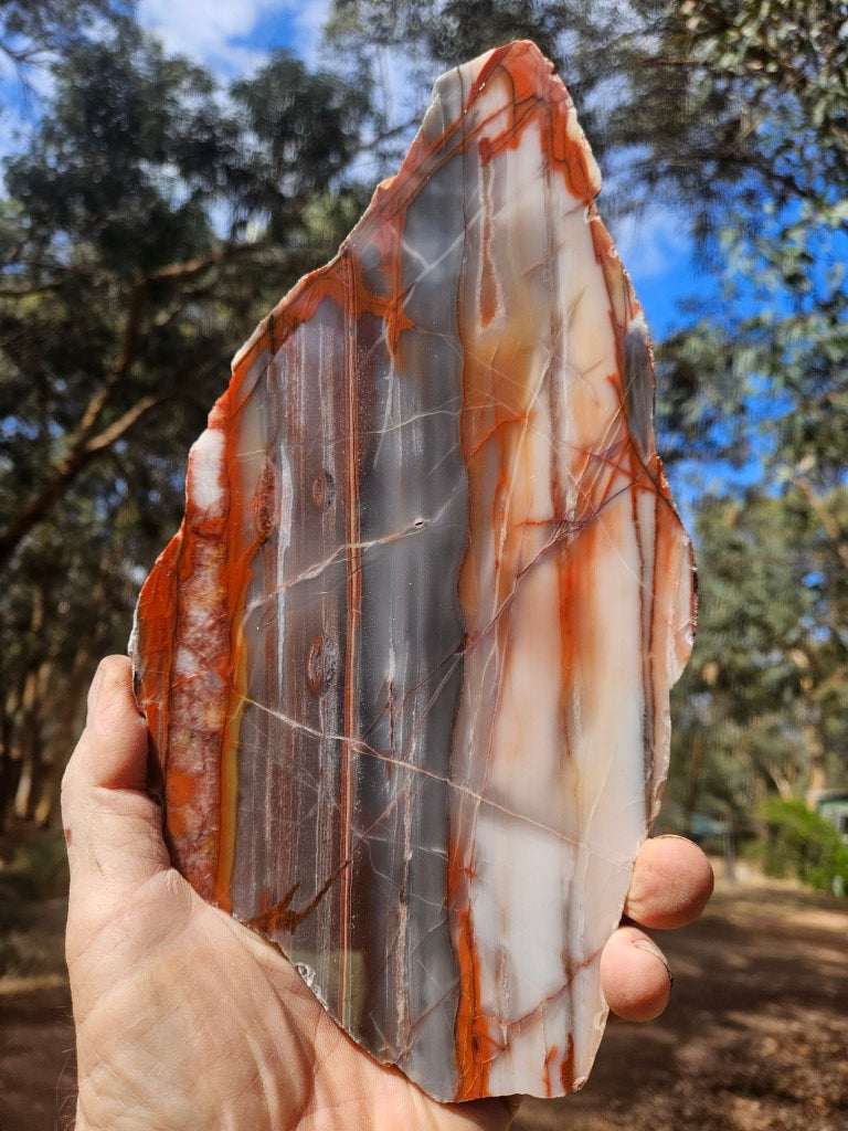 Polished Marble Bar Chert  slab MB126