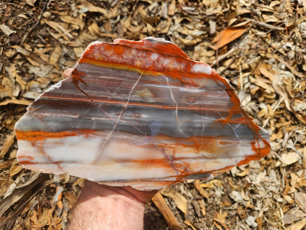 Polished Marble Bar Chert  slab MB126