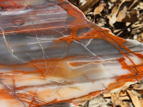 Polished Marble Bar Chert  slab MB126