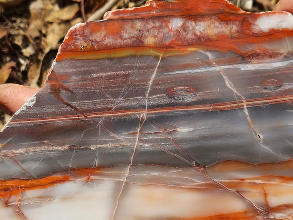 Polished Marble Bar Chert  slab MB126