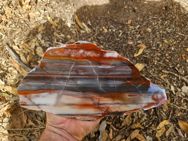 Polished Marble Bar Chert  slab MB126