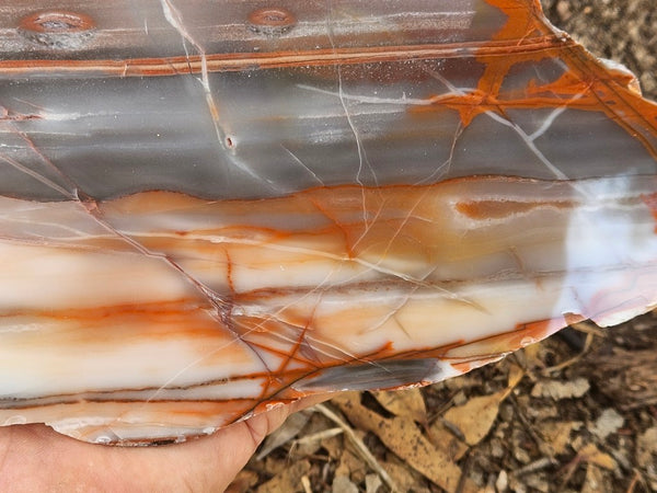 Polished Marble Bar Chert  slab MB126