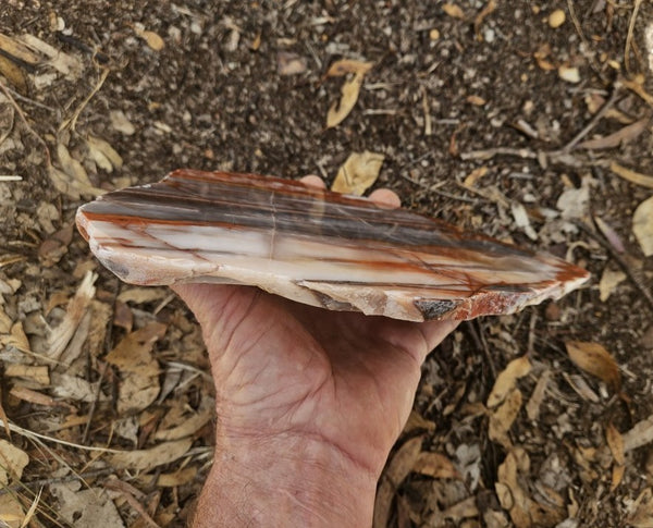 Polished Marble Bar Chert  slab MB126