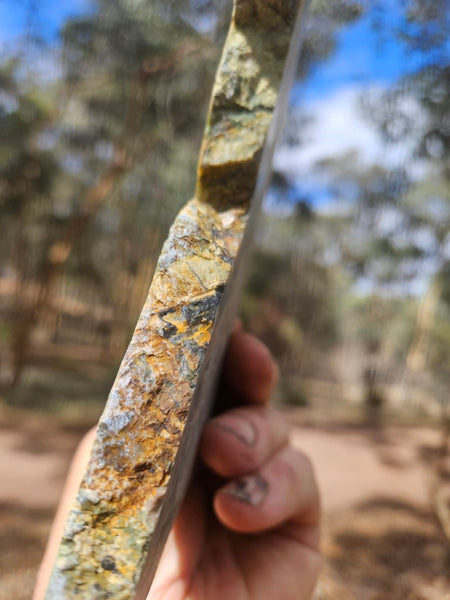 Polished Rainforest Jasper slab RFJ165