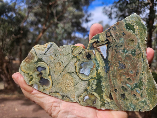Polished Rainforest Jasper slab RFJ165