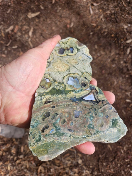 Polished Rainforest Jasper slab RFJ165