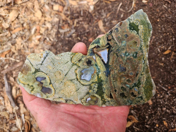 Polished Rainforest Jasper slab RFJ165