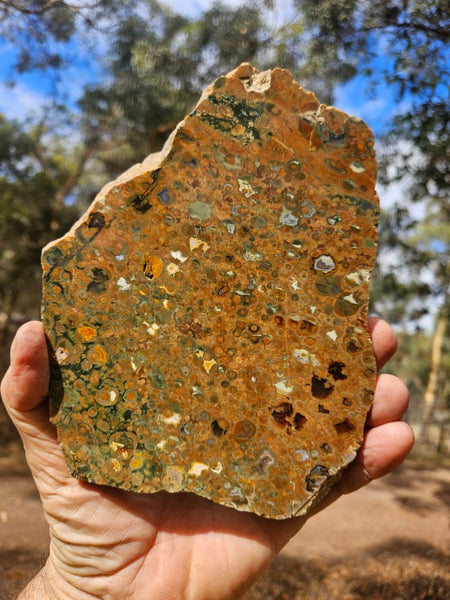 Polished Rainforest Jasper slab RFJ166