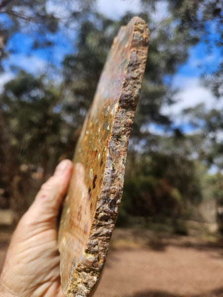 Polished Rainforest Jasper slab RFJ166